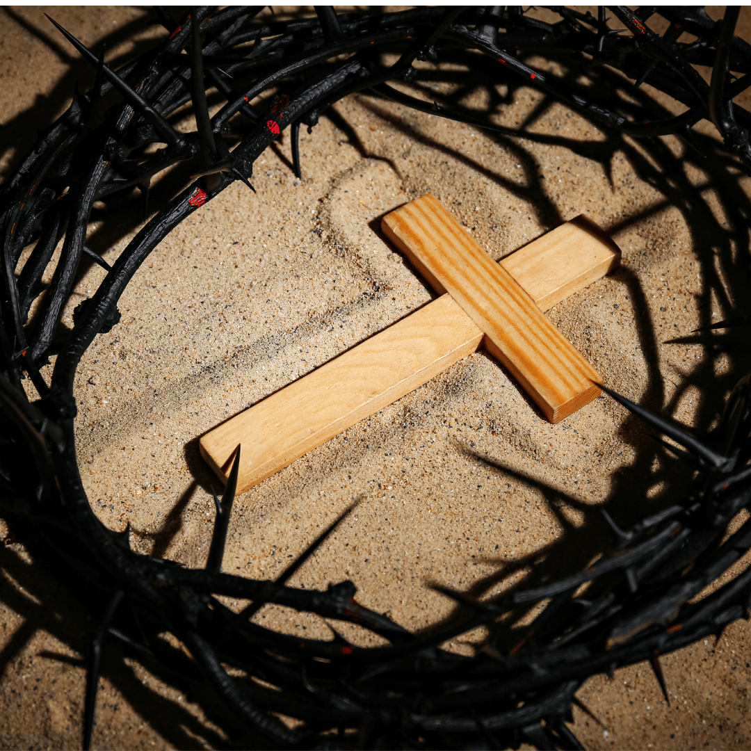 Crown of Thorns + Cross